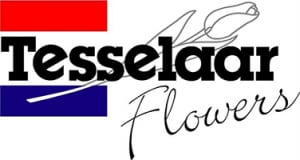 tesselaars logo small